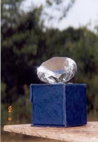 Искателю алмазов из Висконсина удалось найти камень весом в 3,92 карата