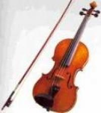Золотая скрипка Поднебесной выступила на сцене Курганской филармонии