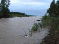 Наводнения в Кургане удастся избежать