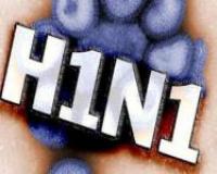 «Свиной» грипп может попасть в Зауралье