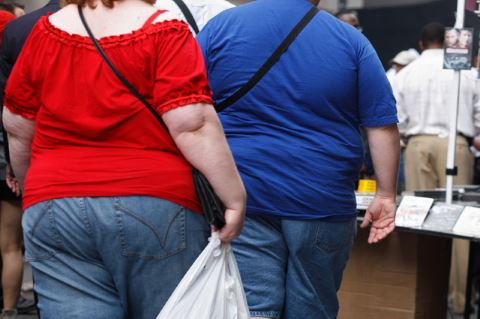 В Петербурге будут бороться с ожирением
