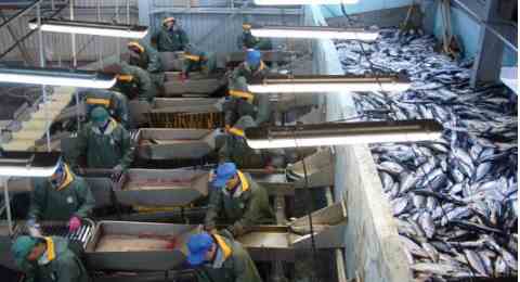 В Щучанском районе запустят рыборазводный завод